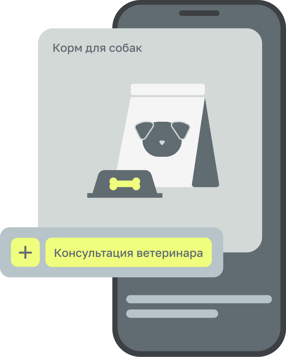 Консультация ветеринара